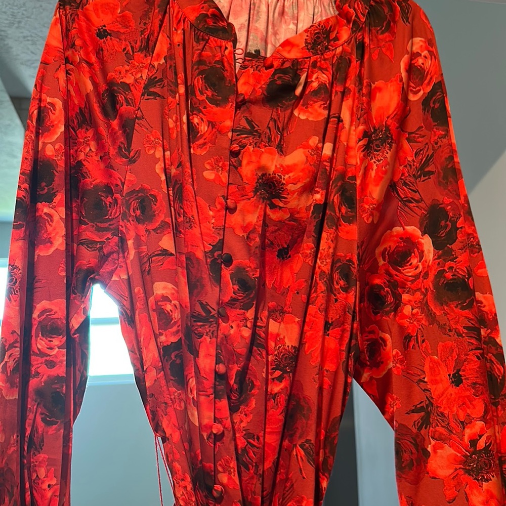 Size 12 Alice and Olivia roses dress
